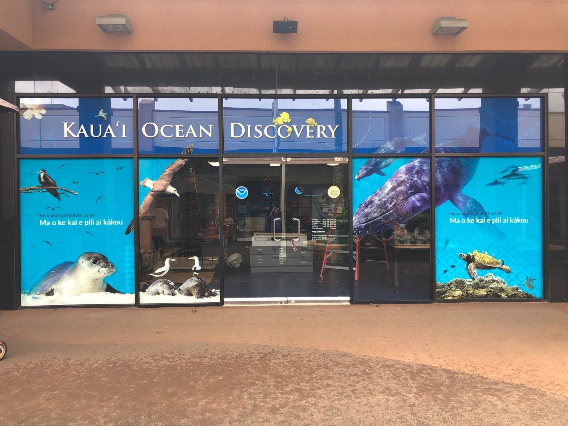 Store with Business Name Sign — Lihue, HI — Sign Art