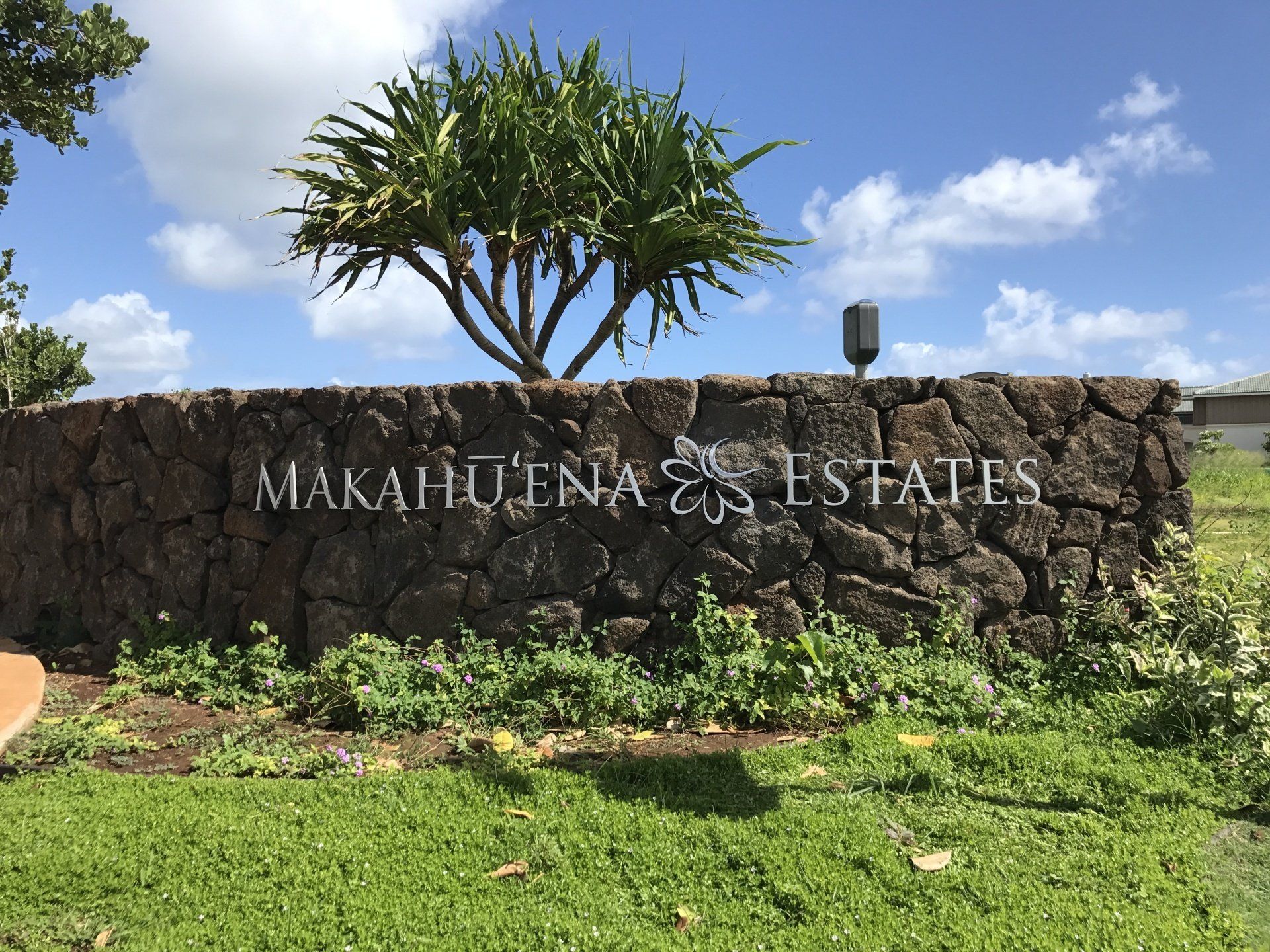 Banner — Lihue, HI — Sign Art