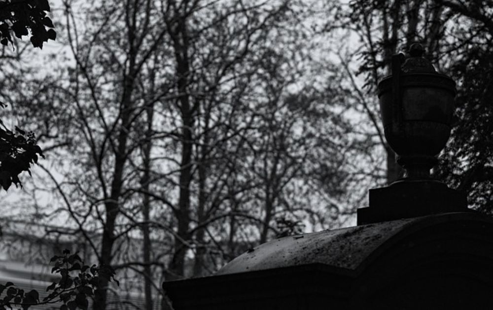cremation services in Mandarin, IL