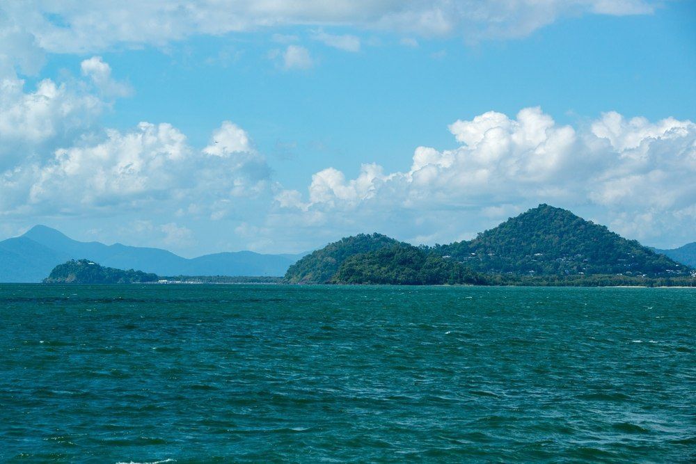 Emerald Sea With Hills And Sky — All Grind & Coat in Northern Beaches, NSW