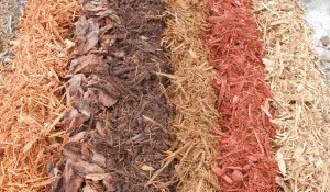 variety-mulch- Bjorklund