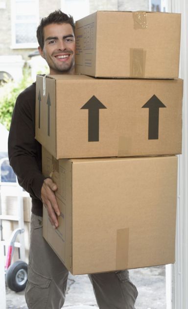 Professional holding moving boxes in Albany