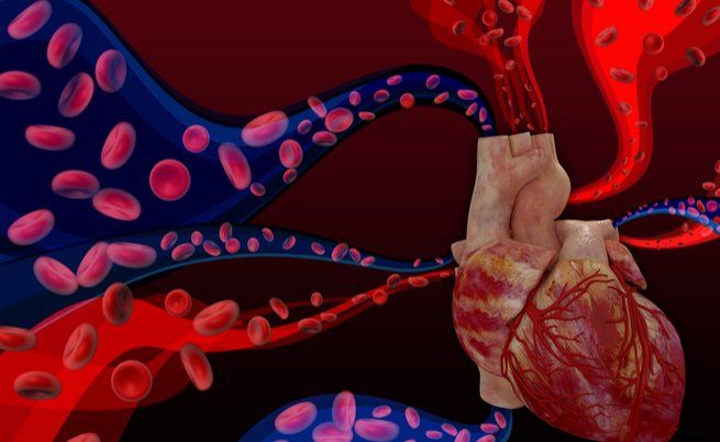 Cardiopatie congenite, vediamo come “scoprirle” | IGEA News