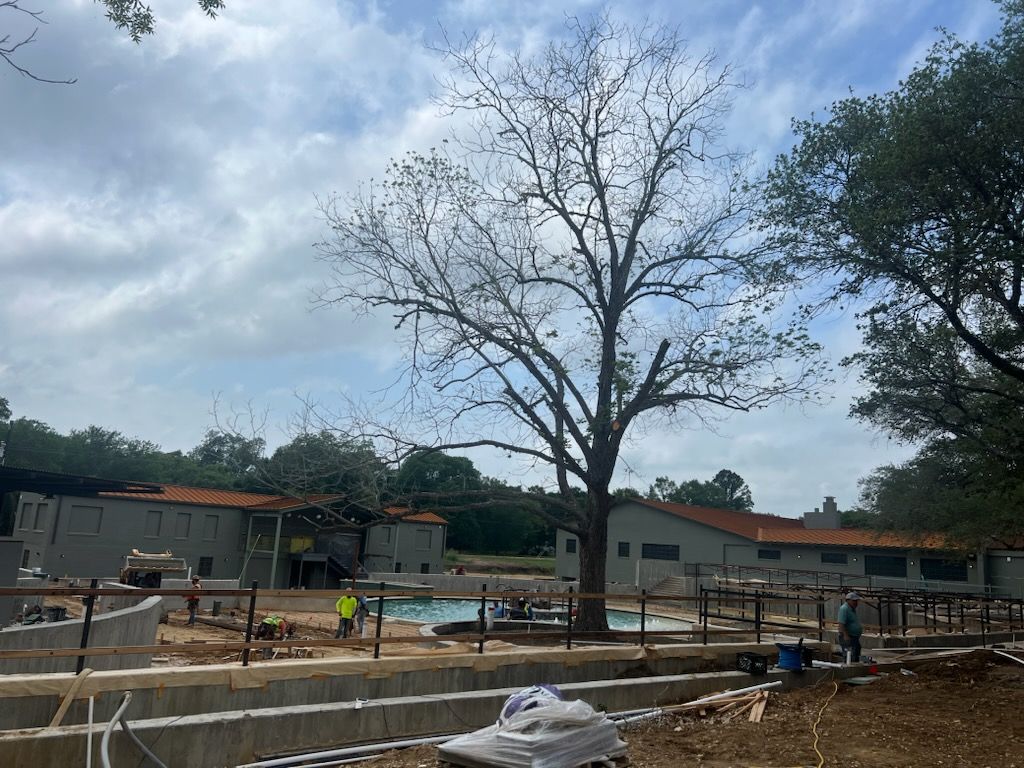 Construction site with buildings, a pool, and a large tree under a cloudy sky.