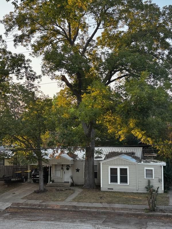 Small house nestled beneath a large tree, driveway in front.