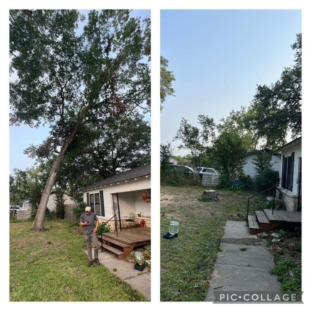 Before and after view of a house; a tree removed in the yard.