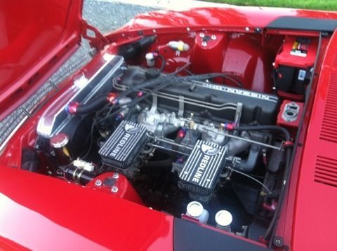 A red car with the hood open has a nissan engine
