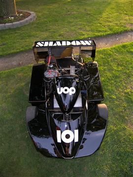 A black race car is parked on the grass in a park.