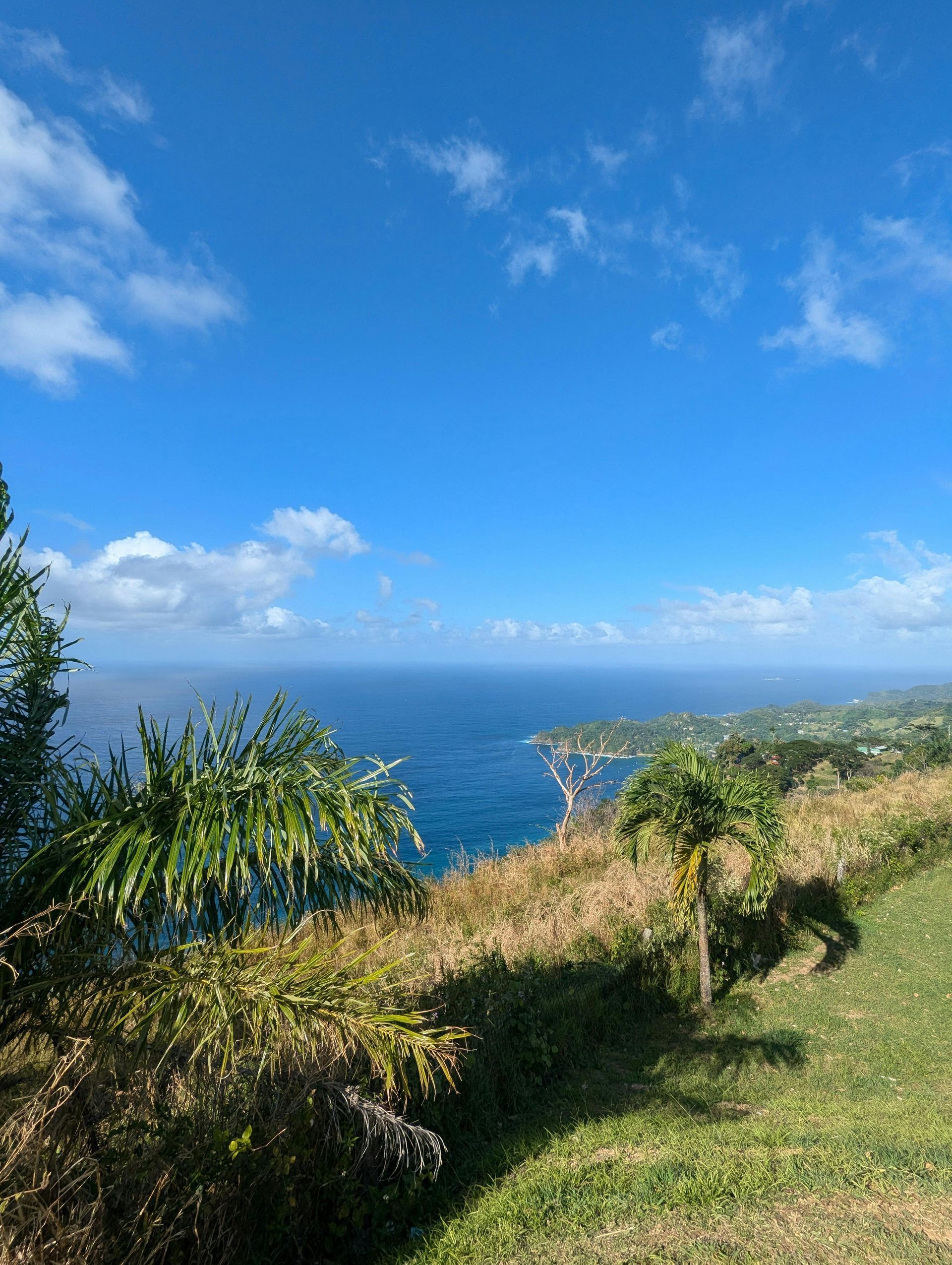 Blue ocean view with a bright blue sky and green shoreline.