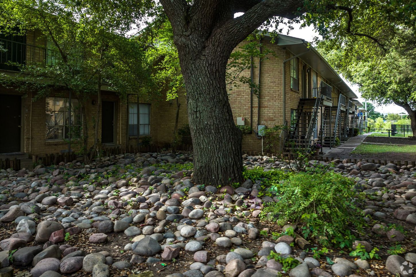 There is a large tree in the middle of a rocky area in front of a building.