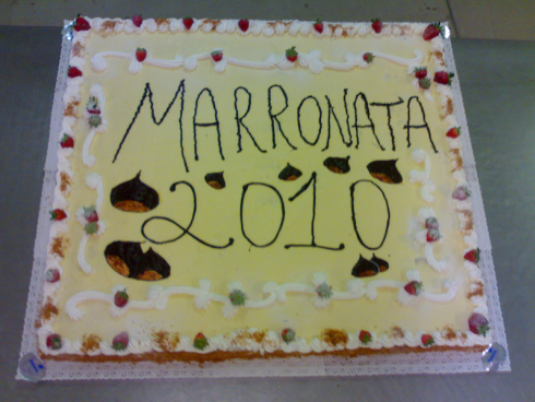 torta rettangolare
