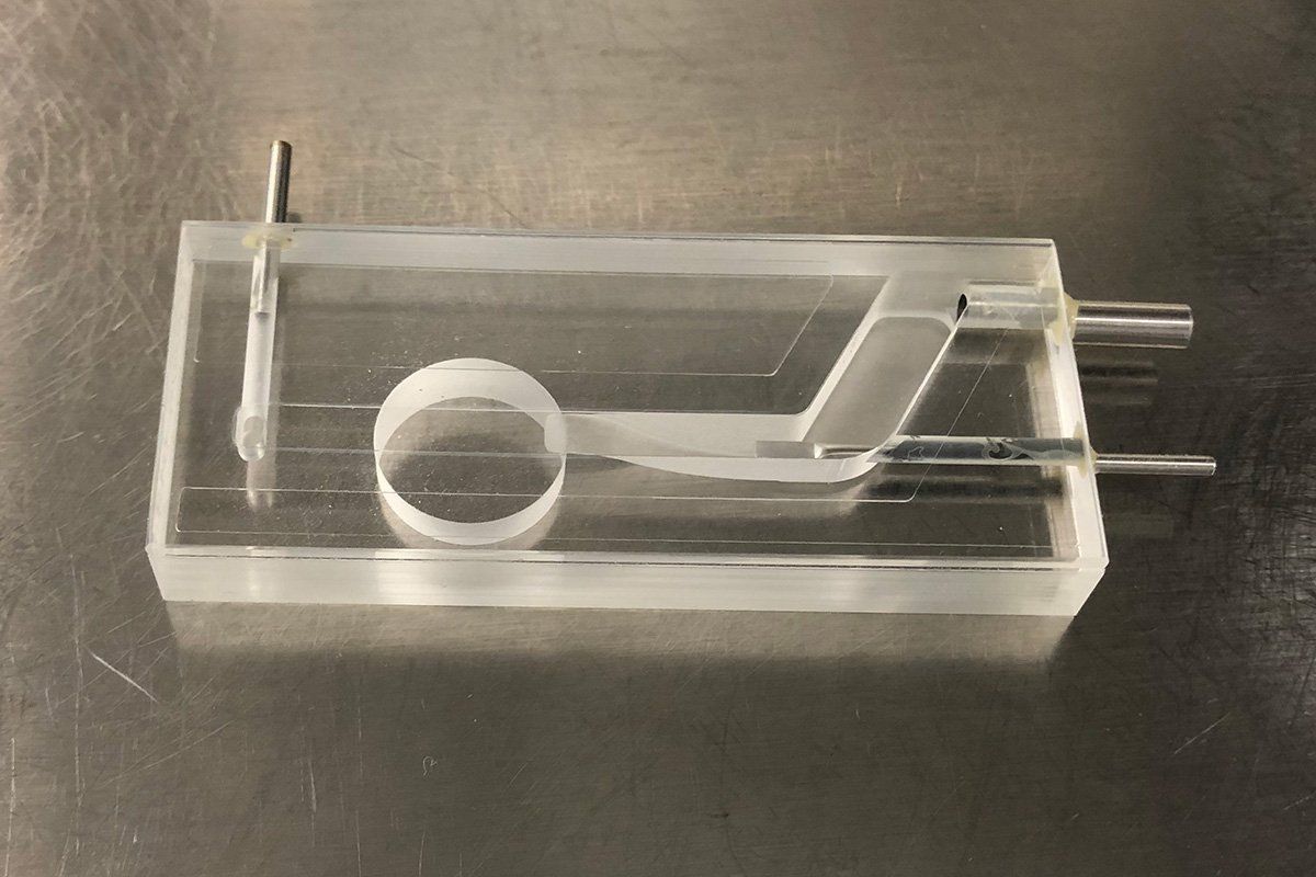 Capabilities Flow Cytometry Services Microfluidic Devices