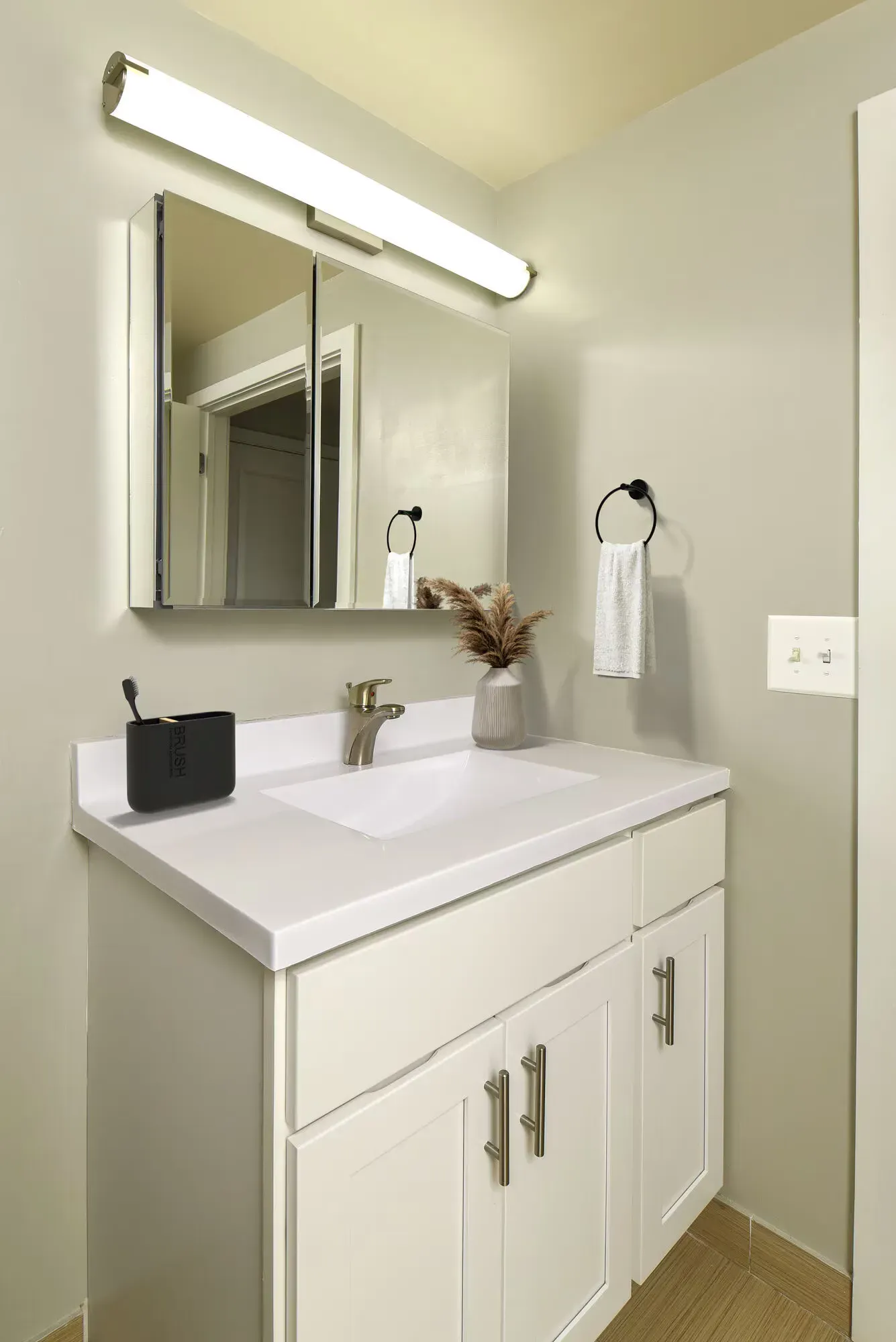 Bathroom vanity with white cabinet, sink, mirror, and towel ring.