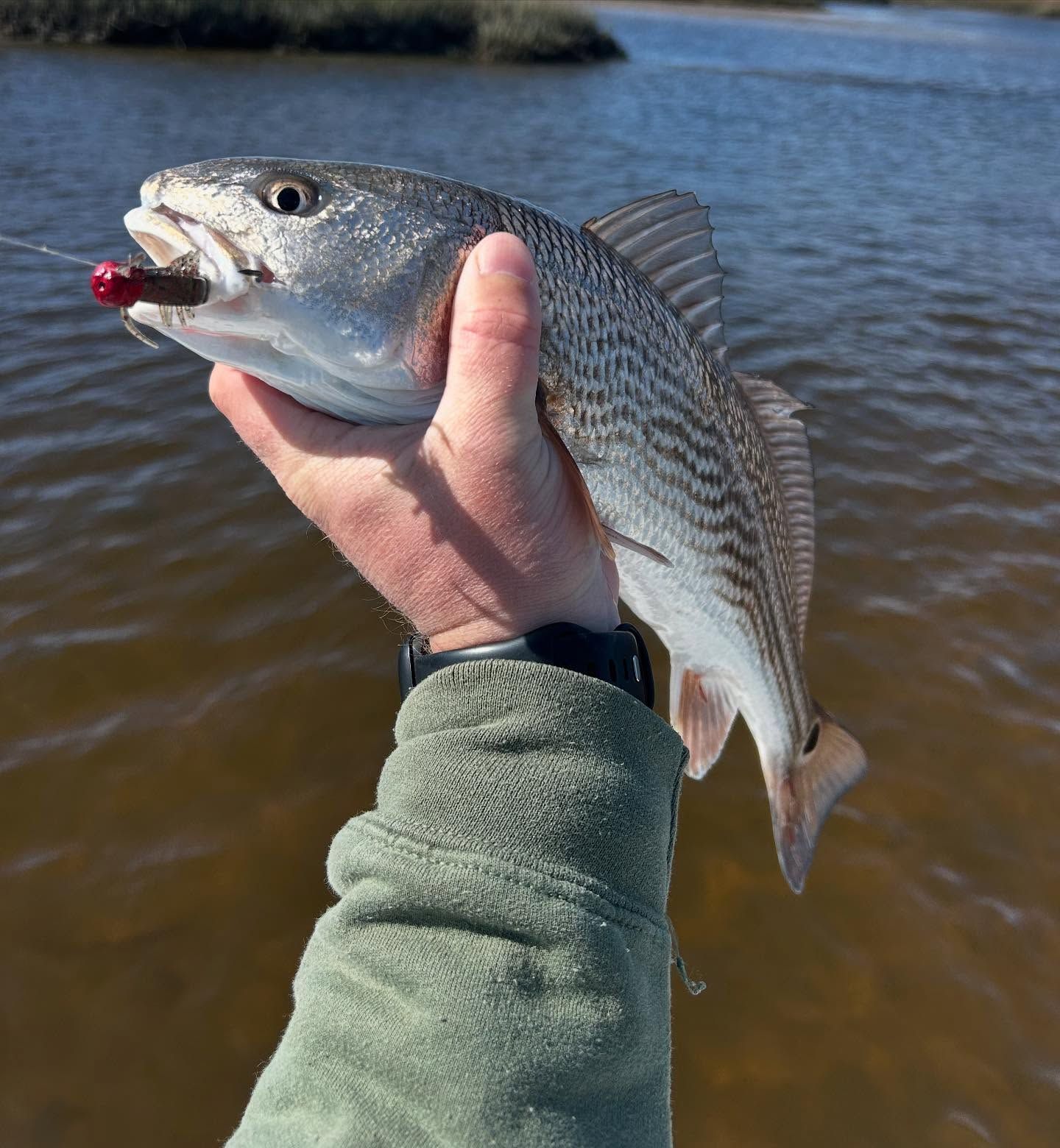 A person is holding a fish with a red worm in its mouth