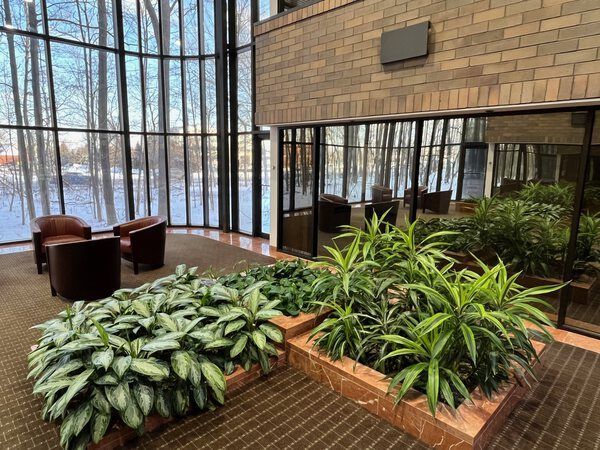 Indoor lobby with plants, armchairs, and large windows overlooking a snowy landscape.