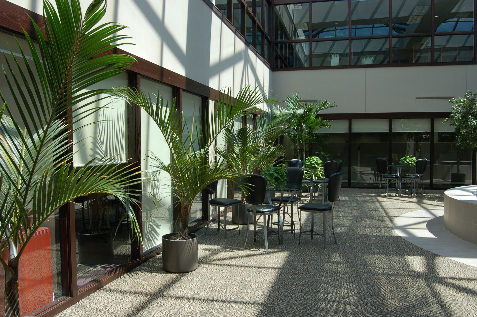 Indoor atrium with palm trees, pebble flooring, glass windows, and seating.