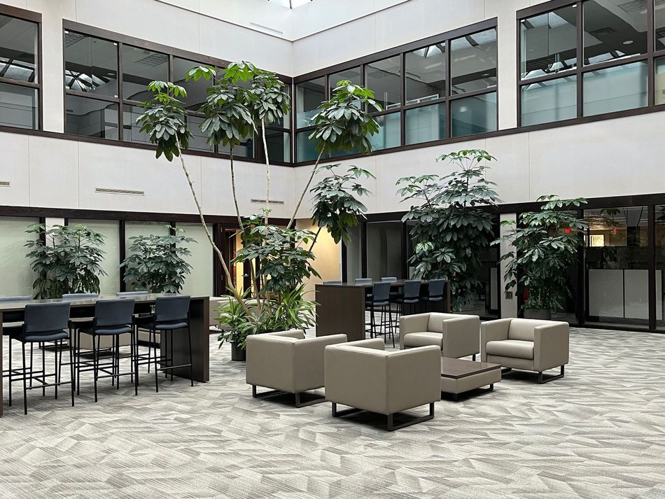 An atrium with large potted trees, seating areas, and high windows.