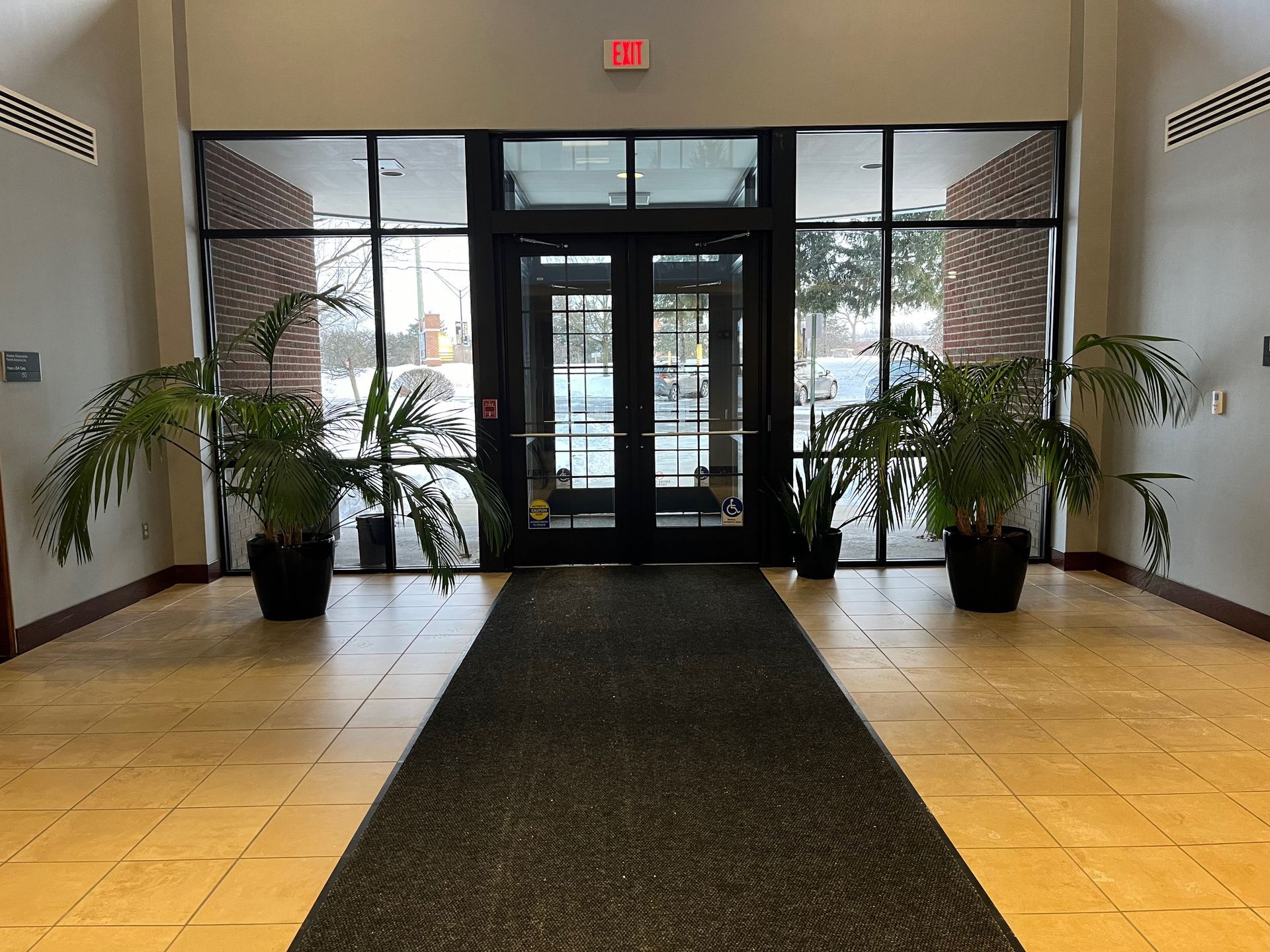 Entrance hall with black doors, windows, and potted plants, and a black floor runner.