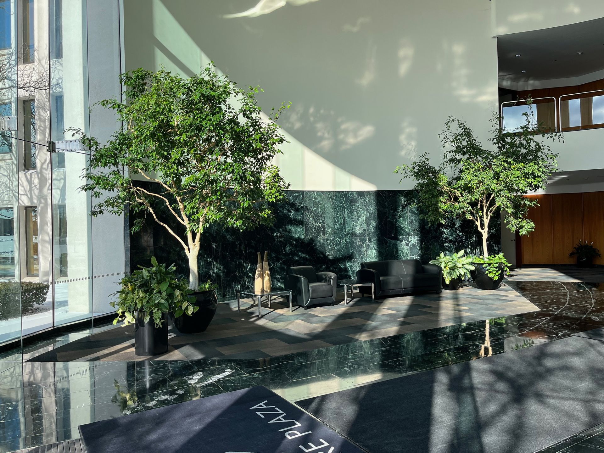 Lobby with trees in black pots, two black chairs, dark marble floor. Large window to the left.