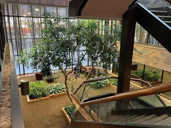 Indoor courtyard with tree, plants, seating, and stairs. Large windows visible.