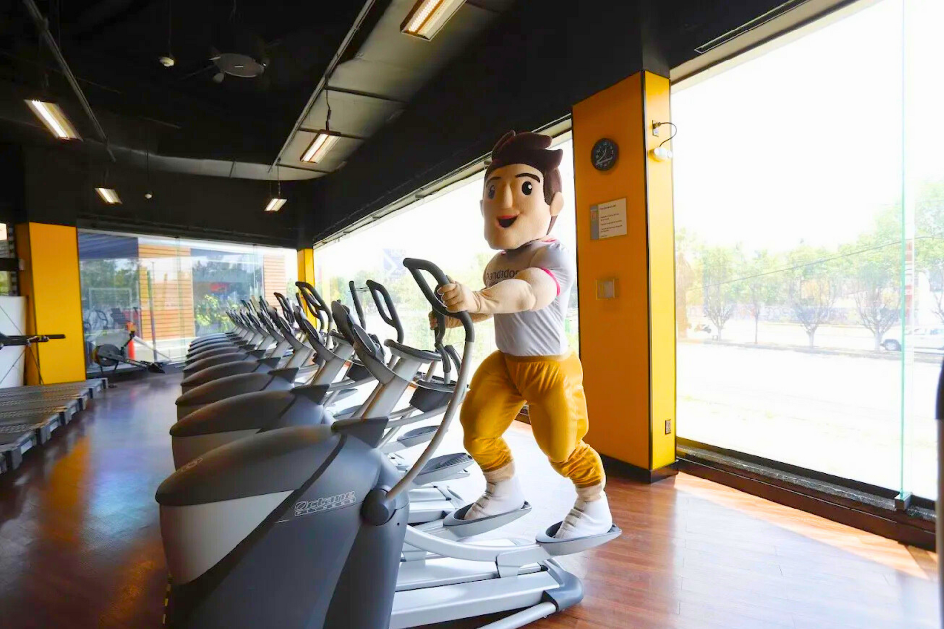 Una mascota monta una máquina elíptica en un gimnasio.