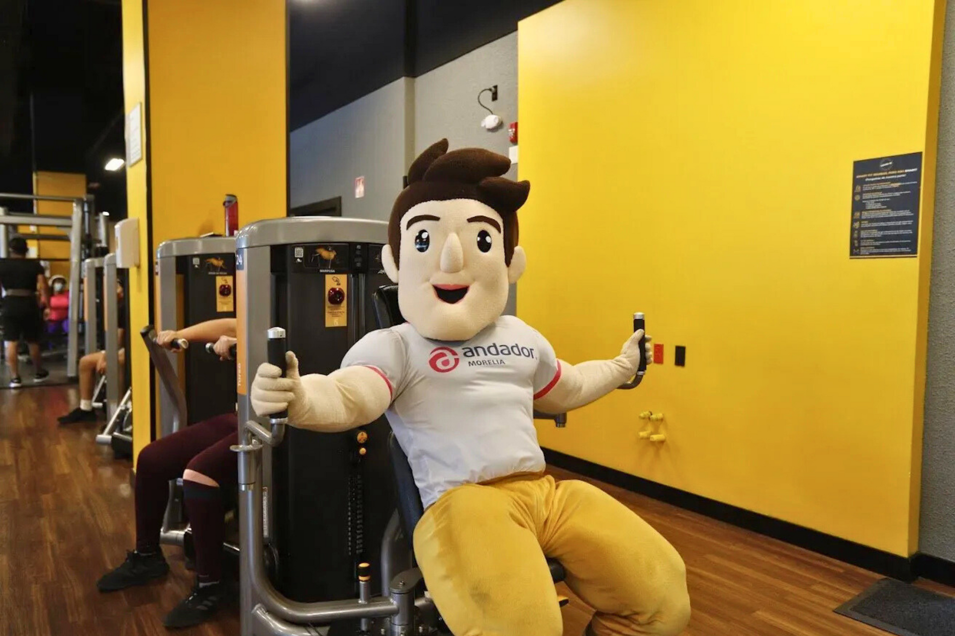 Una mascota está sentada en una máquina en un gimnasio.