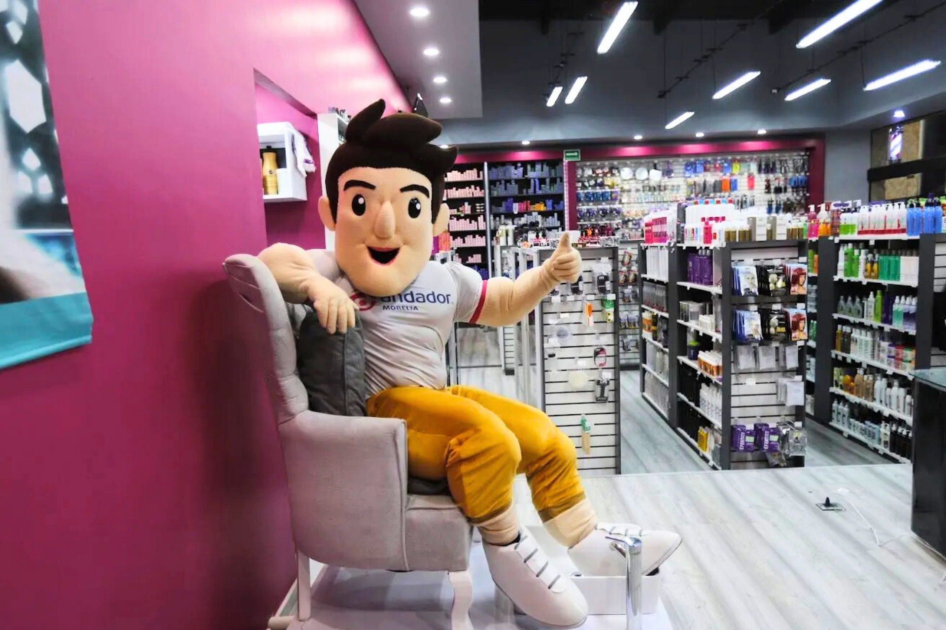 Una mascota está sentada en una silla en una tienda.