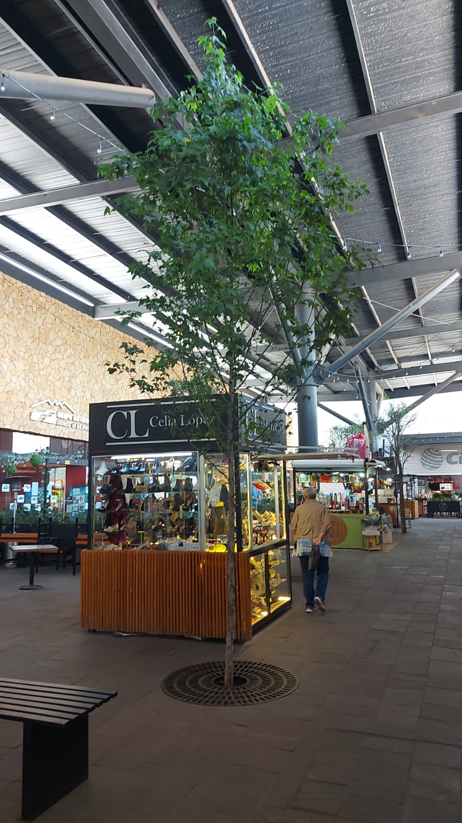Un árbol crece en medio de un centro comercial.