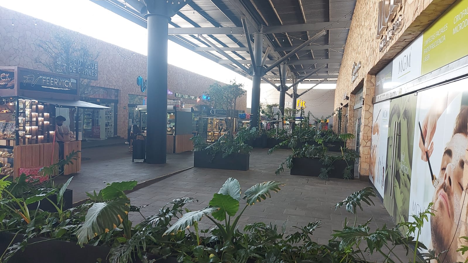Hay muchas plantas en medio del centro comercial.
