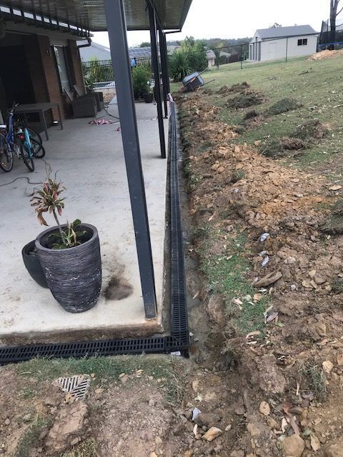 wide lawn area with plant pot