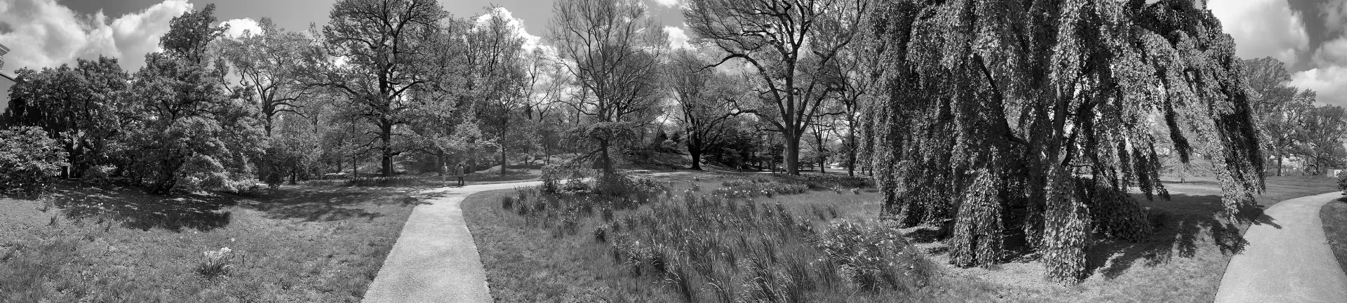 New York Botanical Garden, The Bronx 2021