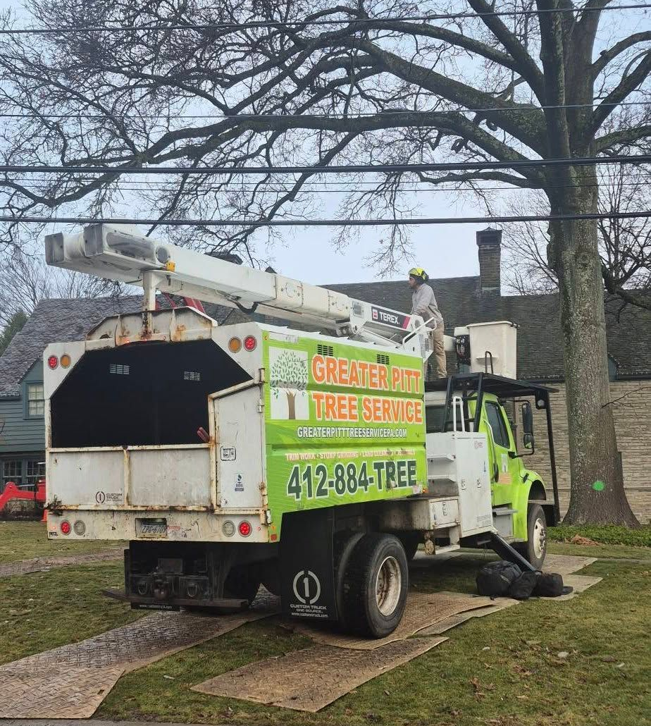 Person using an orange chainsaw to cut a tree branch; wood chips flying.