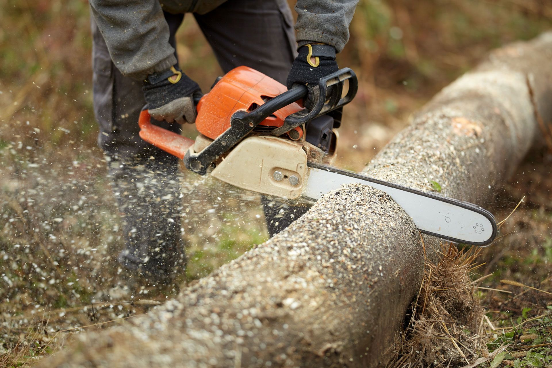 Person using an orange chainsaw to cut a log outdoors, wood chips flying.
