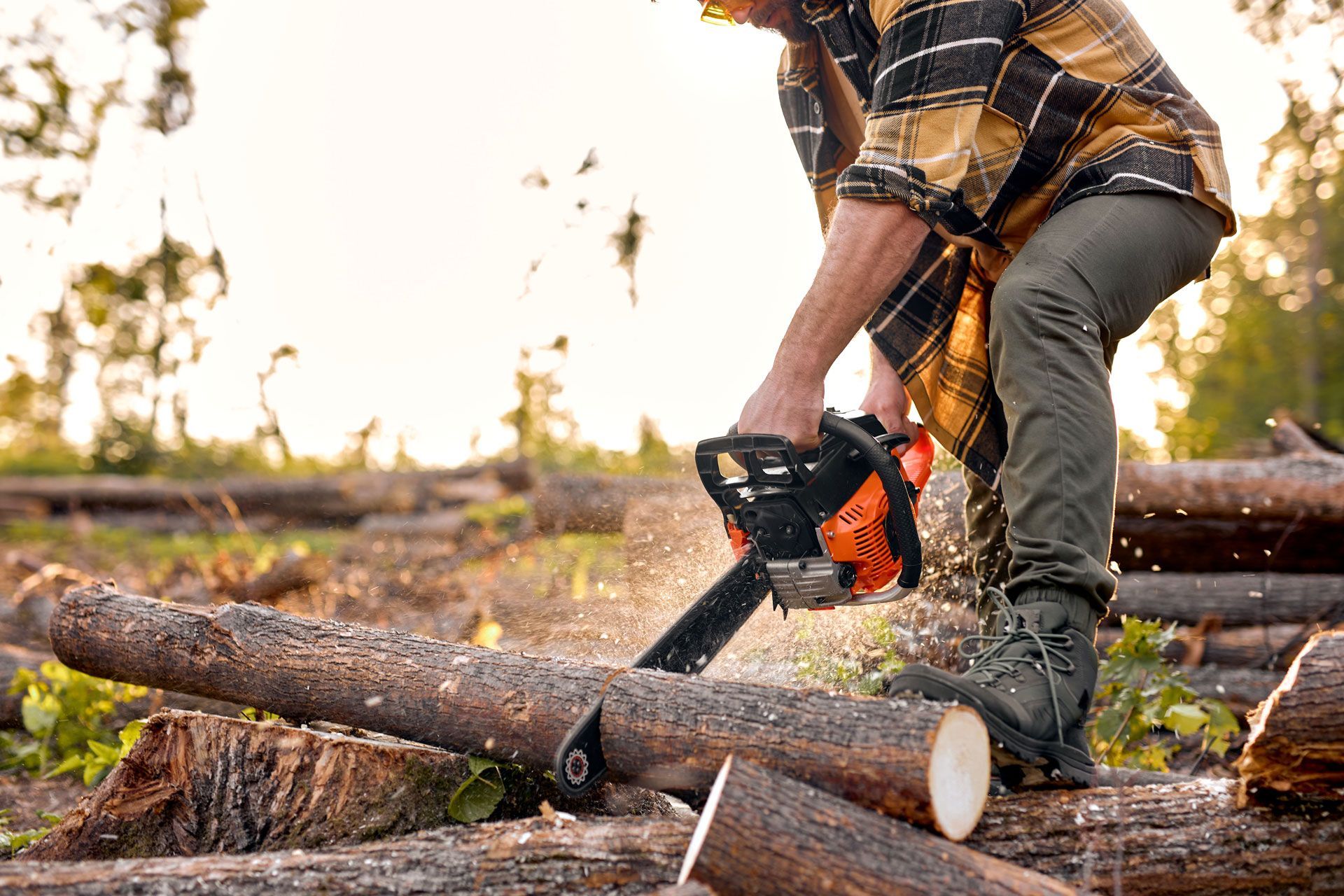 Lumberjack cutting a log with an orange chainsaw in a forest.