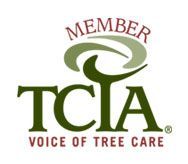 TCIA Member
