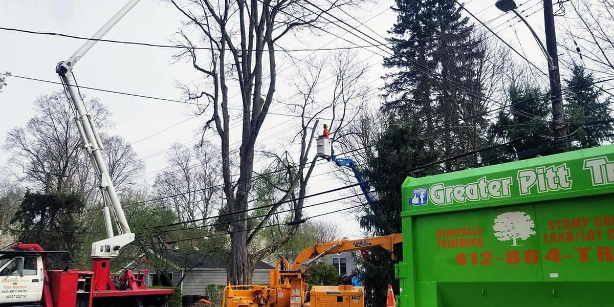 Tree service removing branches near power lines with a lift truck, chipper, and green truck.