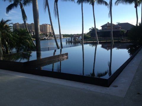 A large swimming pool with palm trees in the background