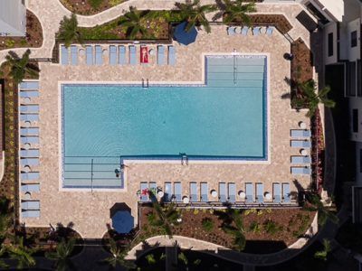 An aerial view of a large swimming pool surrounded by palm trees.