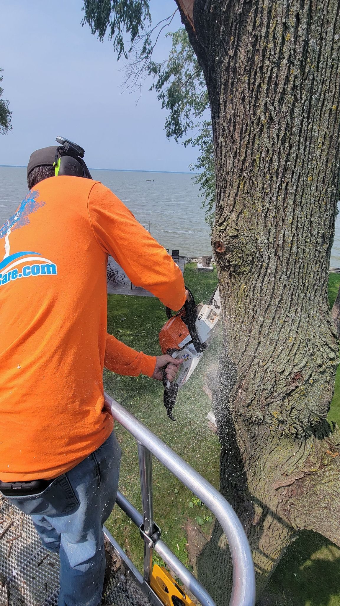 A man is cutting a tree with a chainsaw.