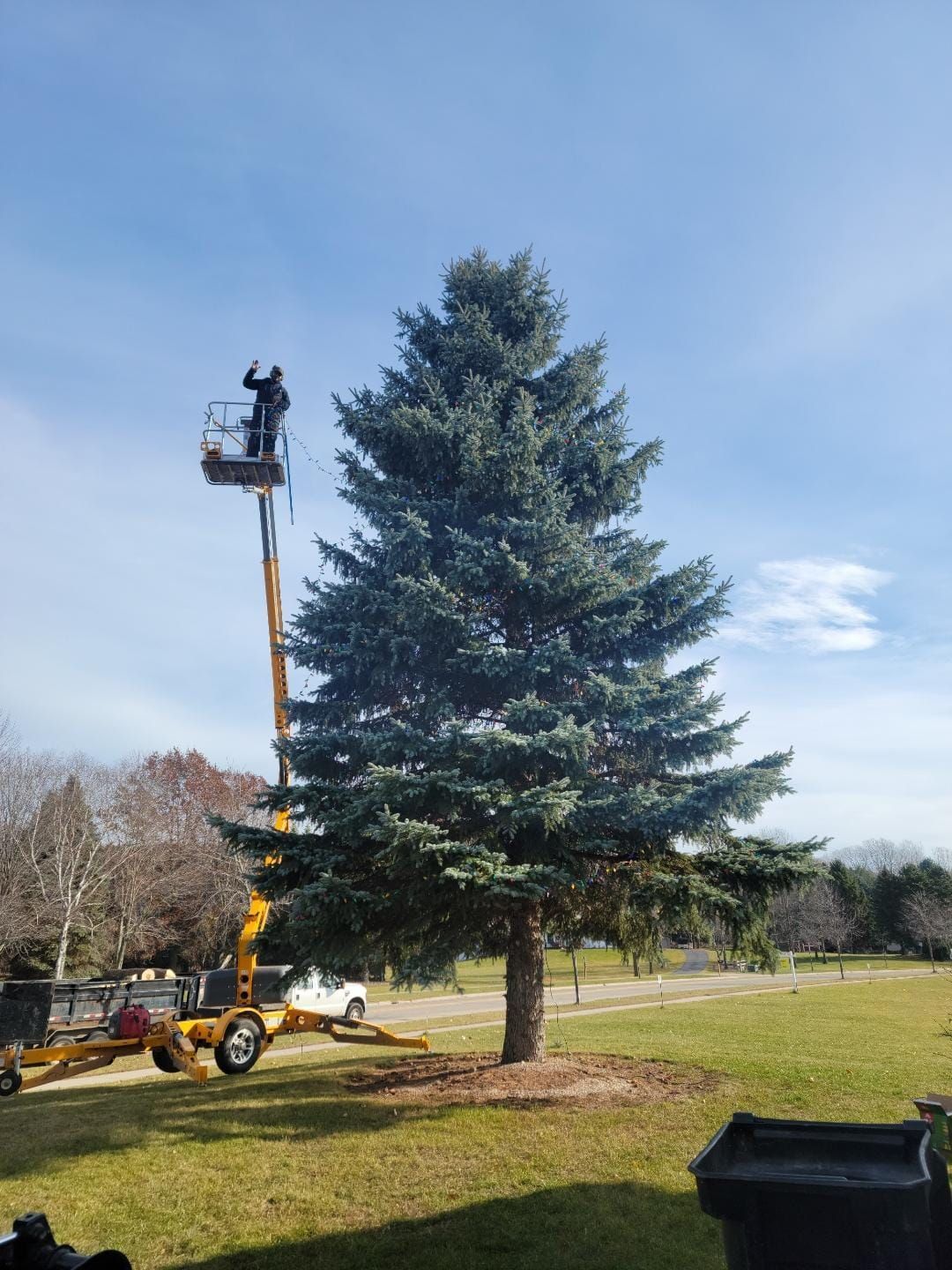 A man is cutting a tree with a crane in a park.