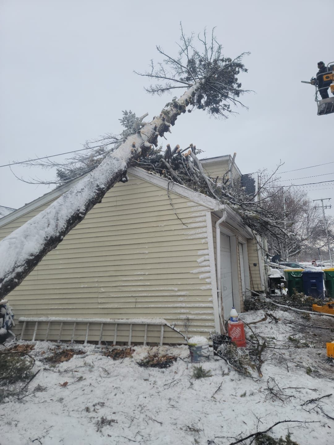 A tree is fallen on top of a house in the snow.