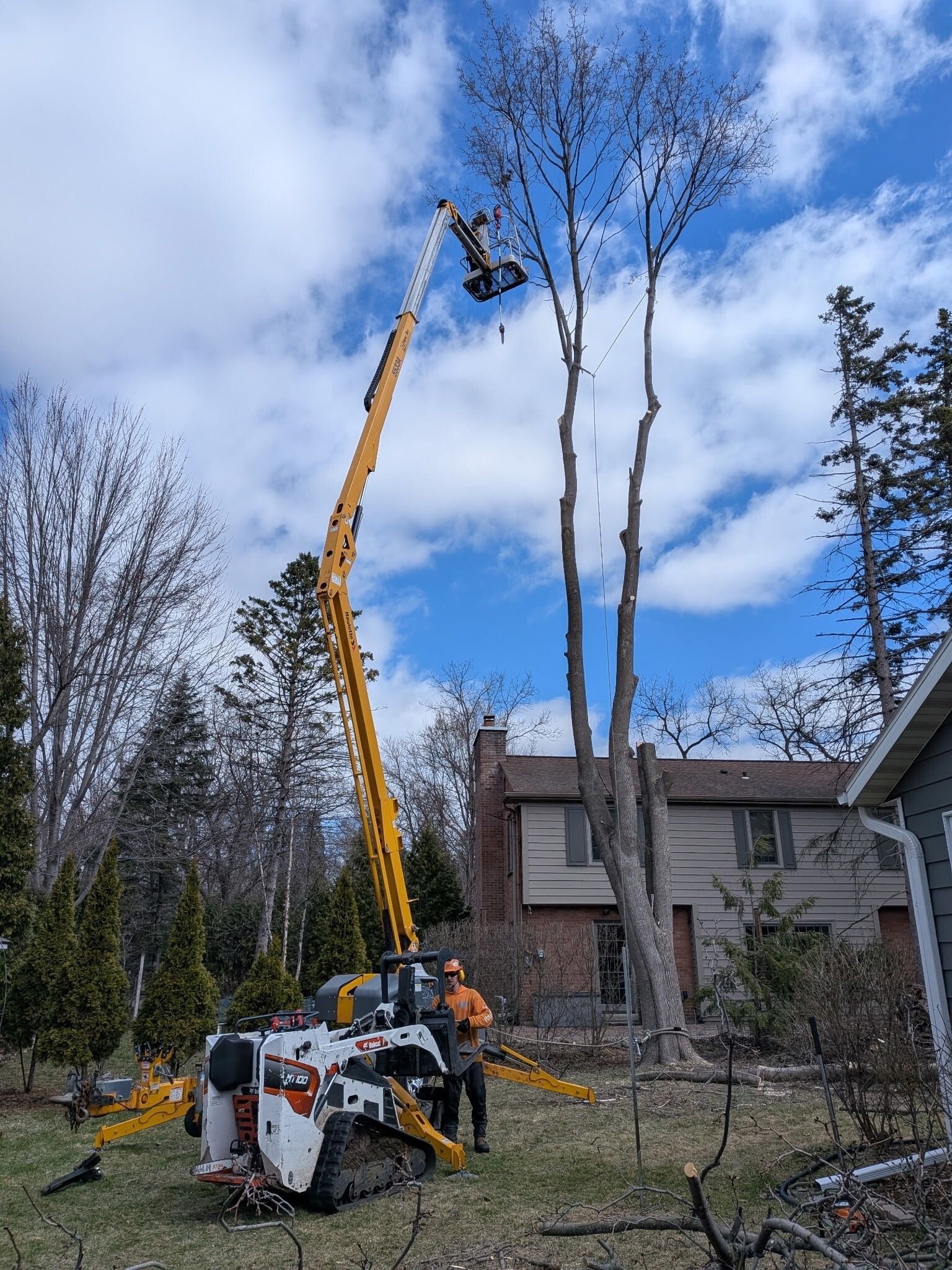 A worker in a bucket lift attached to a tracked loader trims the high branches of a tall tree near a suburban house.