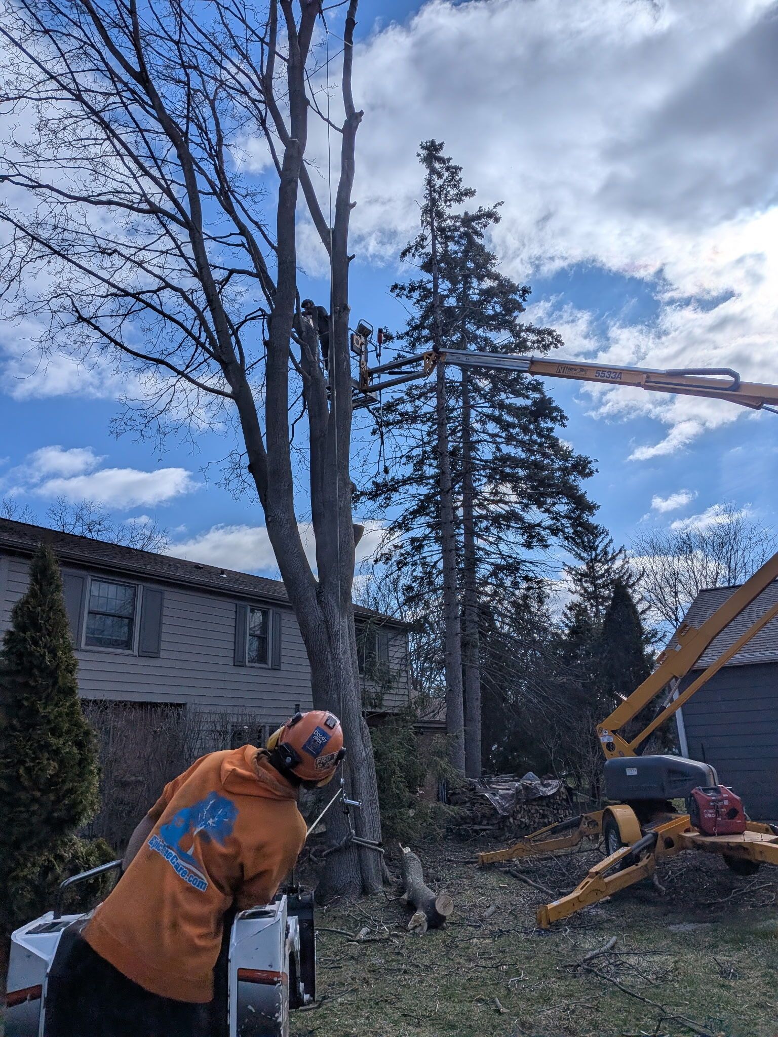 A worker in an orange hoodie and safety helmet operates a boom lift to trim branches from a tall tree near a house.