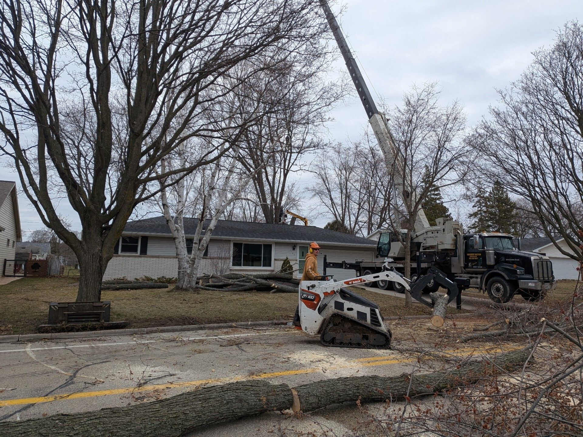 A crane and a skid-steer loader remove a large tree in front of a residential house on a cloudy day.