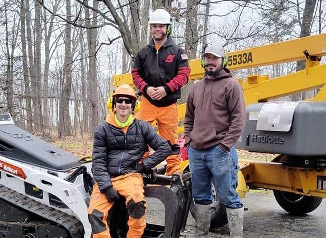 A tree is being cut down in front of a house.
