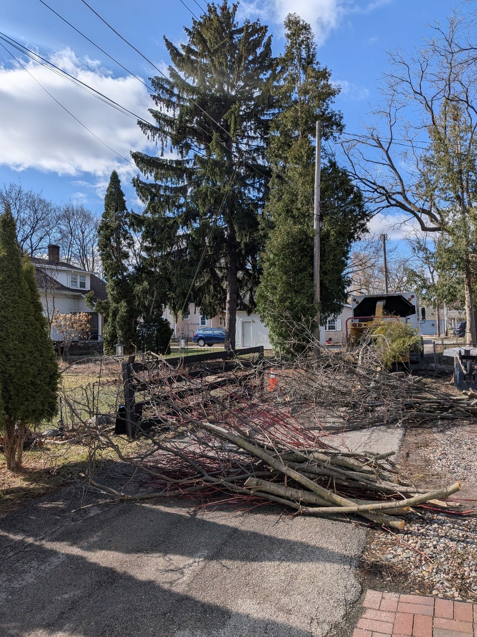 Piles of trimmed tree branches lie on a yard in front of evergreen trees and a residential house on a sunny day.