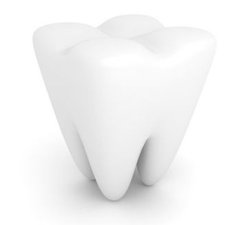 General Dentistry — Tooth in Hillsborough, NJ