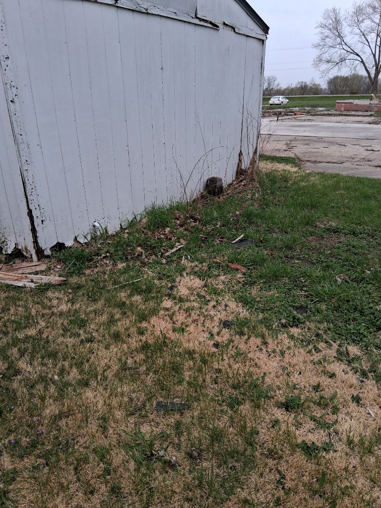 White shed wall beside patchy grass and dirt near a muddy roadside.