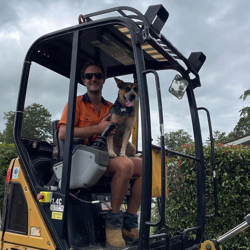 Employee and Dog on Heavy Machinery — Bridge Plumbing & Trades in Bomaderry, NSW
