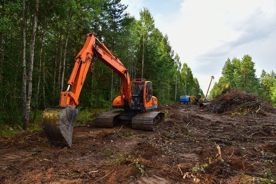 Orange excavator clearing a forest path; trees and earth visible.